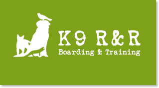 K9 R&R